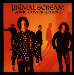 Hoes van Sonic Flower Groove