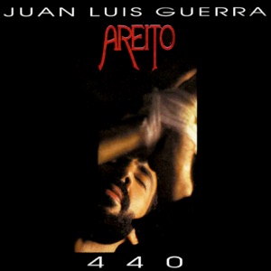 Hoes van Areíto