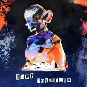Cover of Polaroid