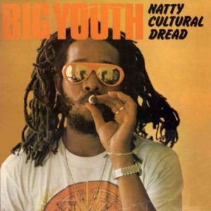 Cover of Natty Cultural Dread