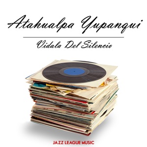 Cover of Vidala del silencio