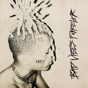 Cover of Bad Vibes Forever