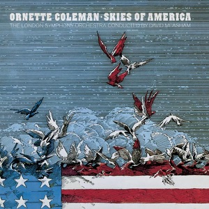 Cover of Skies of America