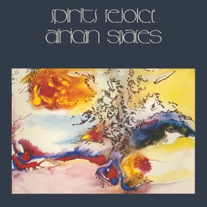 Cover of African Spaces