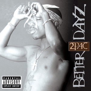 Cover of Better Dayz
