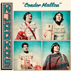 Hoes van Condor Mallcu