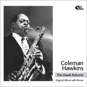 Cover of The Hawk Returns