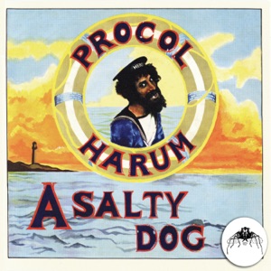 Cover of A Salty Dog