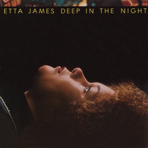 Cover of Deep in the Night