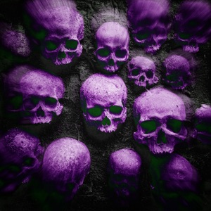 Hoes van Skeletor