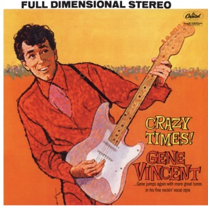 Cover of Crazy Times