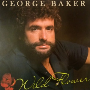 Cover of Wild Flower