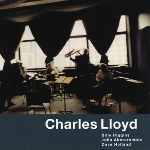 Cover of Voice in the Night