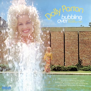 Cover of Bubbling Over