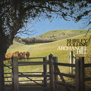 Cover of Archangel Hill