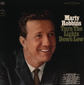 Cover of Turn the Lights Down Low