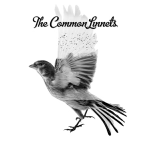 Hoes van The Common Linnets