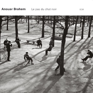 Cover of Le Pas du chat noir