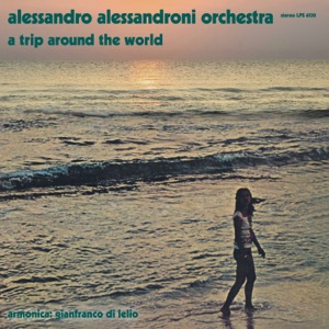 Cover of A Trip Around the World