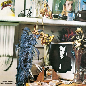 Cover of Here Come the Warm Jets
