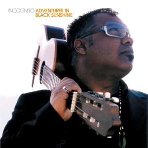 Cover of Adventures in Black Sunshine