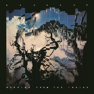 Cover of Burning From the Inside