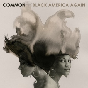 Cover of Black America Again