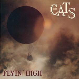 Cover of Flyin' High