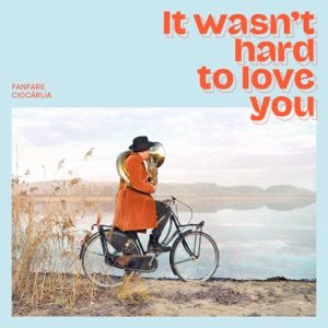 Cover of It Wasn't Hard To Love You