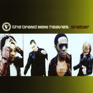 Cover of Shelter