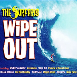 Cover of Wipe Out