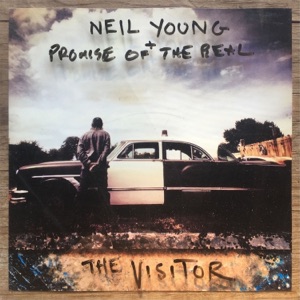 Cover of The Visitor