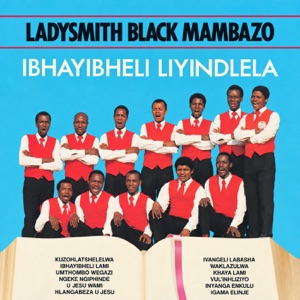 Cover of Ibhayibheli Liyindlela