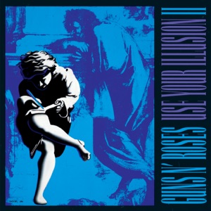 Hoes van Use Your Illusion II