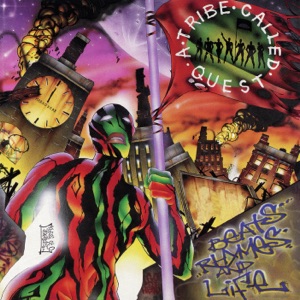 Cover of Beats, Rhymes and Life