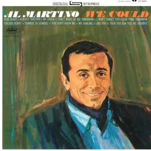 Cover of We Could