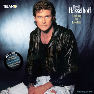 Cover of Looking for Freedom