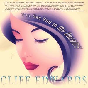 Cover of I’ll See You in My Dreams