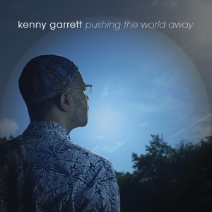 Cover of Pushing the World Away