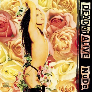 Cover of Nude