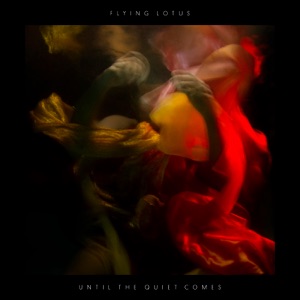 Cover of Until the Quiet Comes