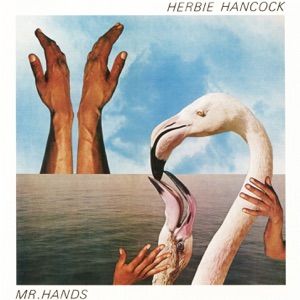 Hoes van Mr. Hands