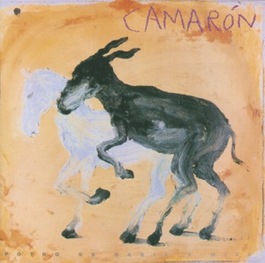 Cover of Potro de rabia y miel