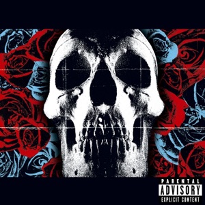 Cover of Deftones