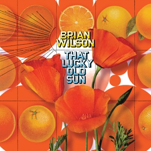 Cover of That Lucky Old Sun