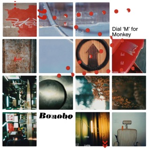 Cover of Dial ‘M’ for Monkey