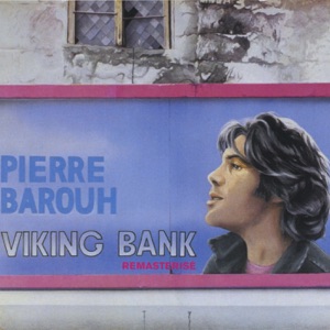 Cover of Viking bank