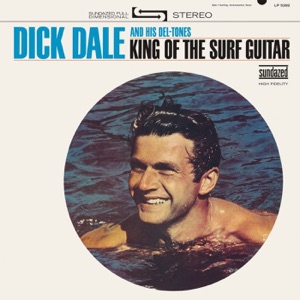 Hoes van King of the Surf Guitar
