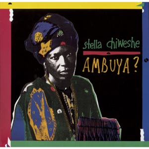 Cover of Ambuya?
