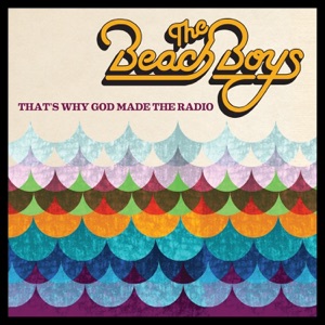 Hoes van That’s Why God Made the Radio